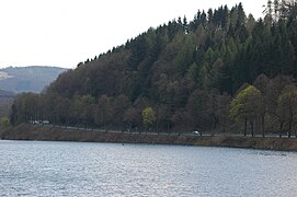 Hennesee 2010-04-25 (4616869372).jpg