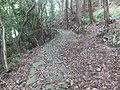 鹿ヶ瀬峠からの道（日高町）