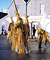 26 décembre 2014 Pendant ce temps, sur l'Île de Man : Wren Day (en) ??