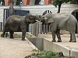 よこはま動物園ズーラシア