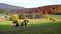 Weißbachtal bei Reichenbach