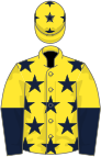 Yellow, dark blue stars, halved sleeves