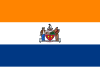 Bandeira de Albany