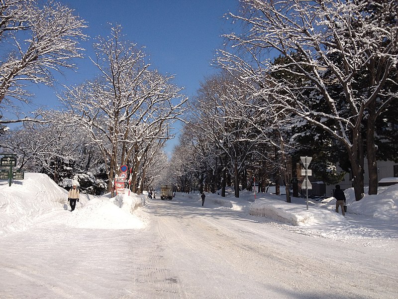 File:Hokkaido University in Winter - panoramio (1).jpg