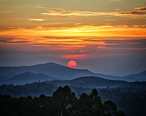 Sonnenaufgang im Nyungwe-Wald