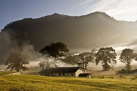 Amaneciendo en la Finca Acul.jpg