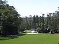 The 10th hole at Augusta National Golf Club in 2006