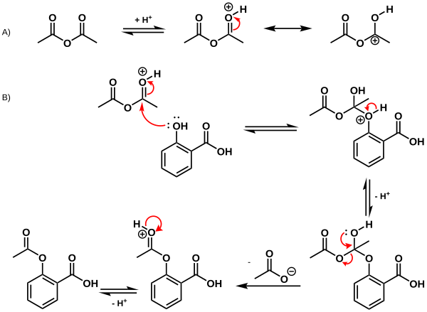 ASS-Synthese