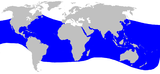 Aire de répartition du Mésoplodon de Blainville