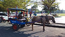 Andong Atau Dokar Di Kab.Demak Jateng