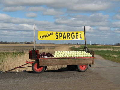 Dithmarscher frischer Rot- & Weißspargel?