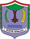 Official seal of Binjai