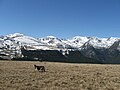 Parâng alpine scenery