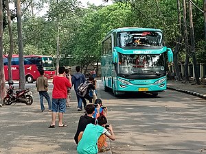 Teenage and adult bus spotters in Indonesia