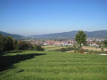 Blick auf Kirchzarten.jpg