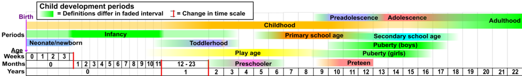 Child development stages