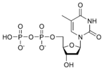 Χημική δομή της Διφωσφορικής δεοξυθυμιδίνης