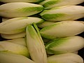 Endives (Cichorium intybus var. foliosum).