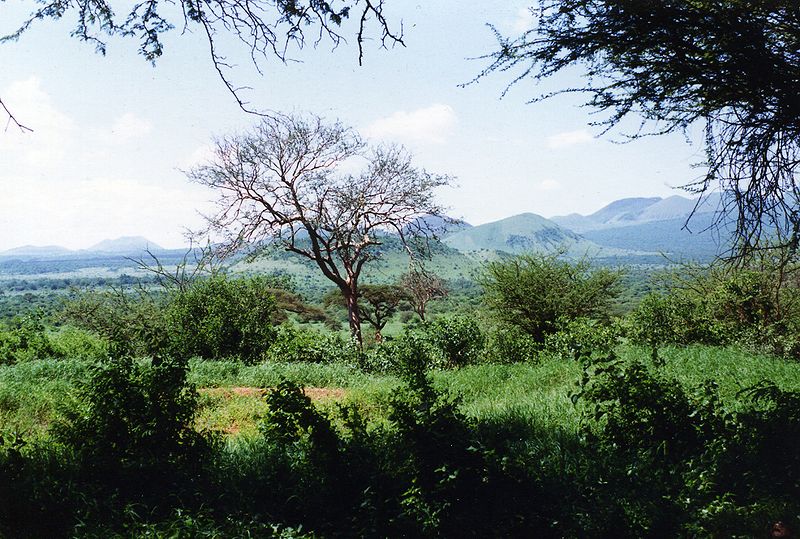 File:Tsavo-West-Mzima-Kenia-134.jpg