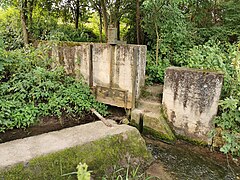 2021-07-11 Spaziergang in Kürnach 09.jpg