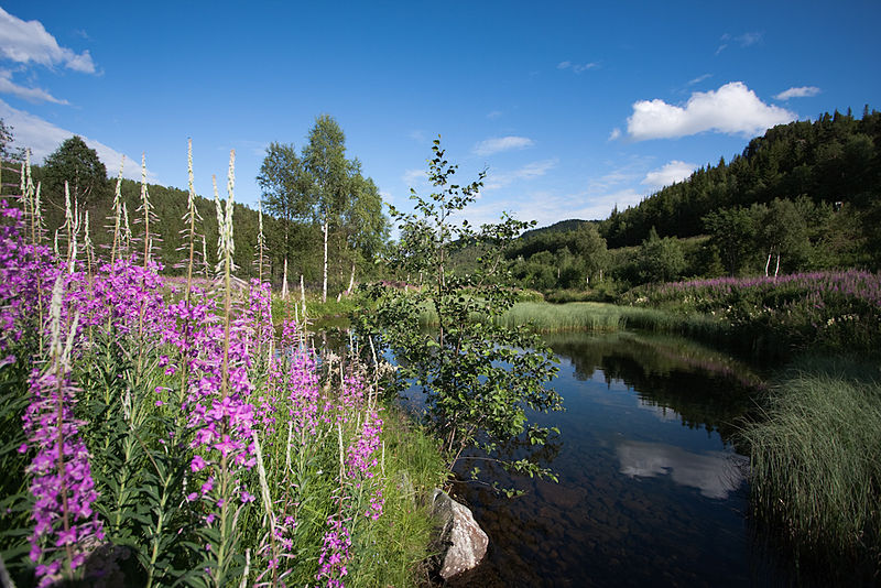 File:Norwegian landscape Vang.jpg