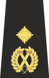 City of London Assistant Commissioner epaulette