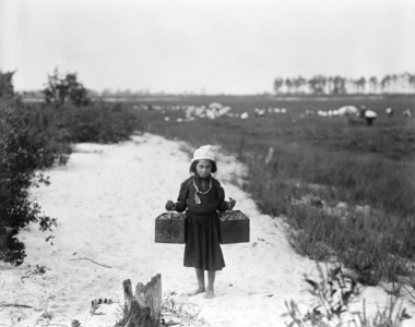 Philadelphia'da bir çocuk işçi (Üreten:Lewis W. Hine)