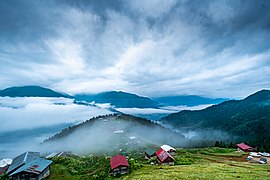 Pokut Yayla in Rize