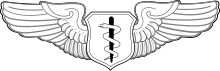 United States Air Force Flight Surgeon Badge.svg