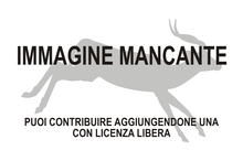 Immagine di Sardomeryx oschiriensis mancante