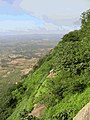 Nandi Hills in the Eastern Ghats