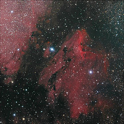 NGC 6503