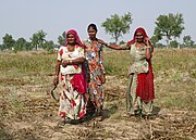 bewoners van de woestijn in India