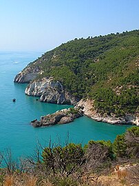 Coast. promontorio Garganico