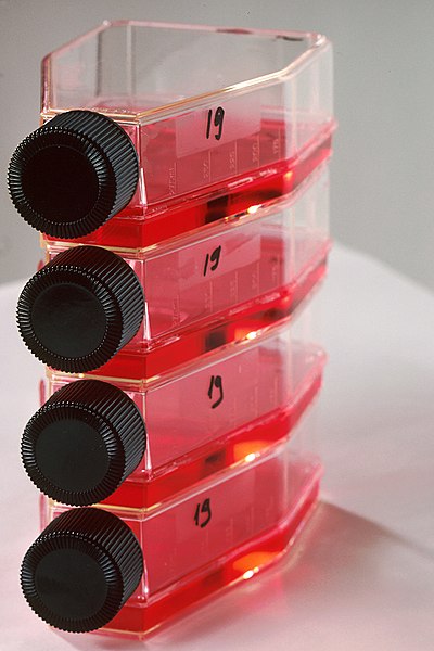 File:Tissue culture vials nci-vol-2142-300.jpg