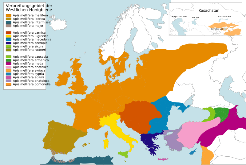 File:EU Apis Mellifera L Map.svg