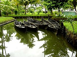 Traditional Kerala Boats