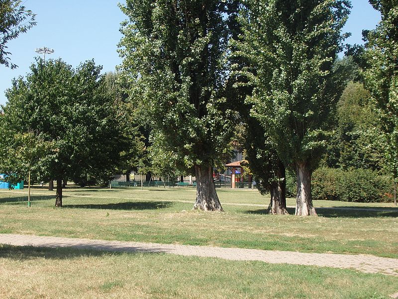 File:Parco di Baggio (38).jpg