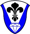 H R Stockdale Nursing College (South Africa): Azure, on a pile argent, the point couped, a fleur-de-lis sable, in base a cut diamond argent.