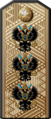 Погон адмирала Российского императорского флота (1904—1917)
