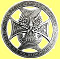 4th Rifle Division badge