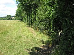 Path through bocage.