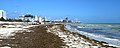 View north of beach after Hurricane Irma, September 16, 2017. Notice water quality and detritus washed up on beach.