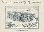 Vy över W:m Hellgrens fabriks och bostadskomplex vid Götgatan och Åsögatan 1897.