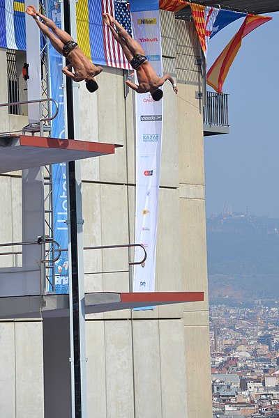 File:BCN2013 Diving DSC 0145 (11098570083).jpg