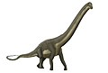 Dinheirosaurus