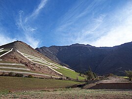 Norte Chico