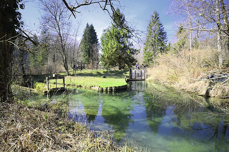 File:Überlauf Sennhof.jpg