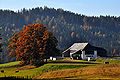 Farmhouse - Aufzuchtbetrieb