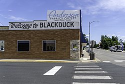Downtown Blackduck